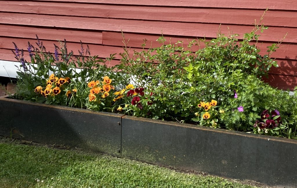 Blomlåda i corten